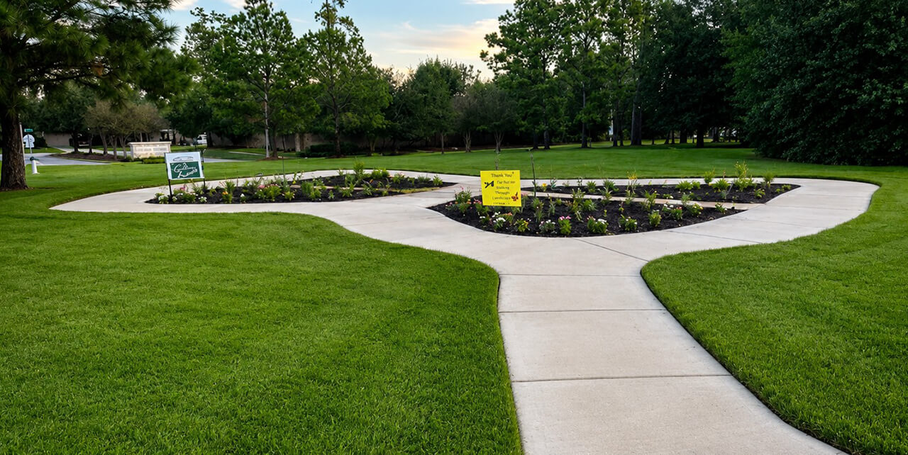 Butterfly garden installation Houston
